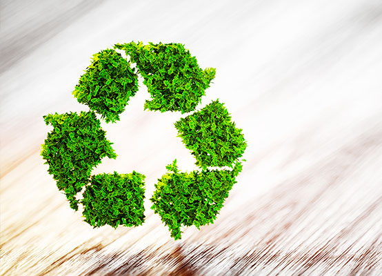 Recyclage & gestion des déchets